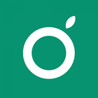 Guava icon