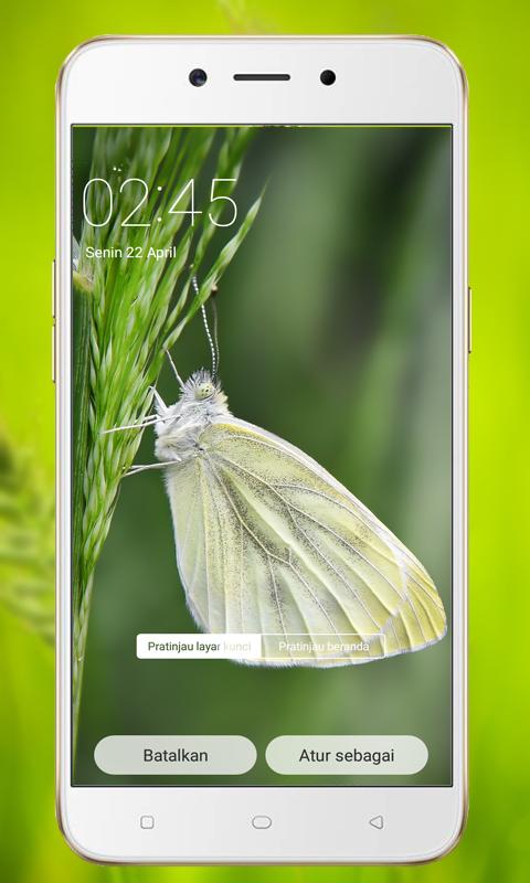 Download 6000 Wallpaper Alam 4k HD Terbaru Download 6000 Wallpaper Alam 4k HD Terbaru