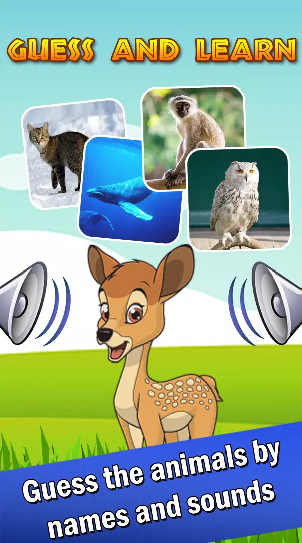 Guess animal sounds and names APK for Android Download Guess animal sounds and names APK for Android Download
