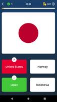 Flags الملصق