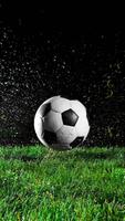 FUTBOLEROS TV bài đăng