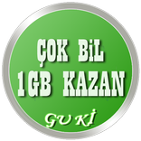 Çok Bil 1 GB Kazan