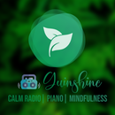 Quiet Music & Radio to sleep APK