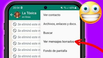 Cómo leer Mensajes Eliminados 截图 1