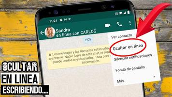 Saber con Quién esta en línea imagem de tela 1