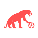 Ocerin guide Hattrick-APK