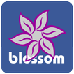 Blossom TV Guide