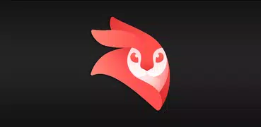 VideoLeap Editor ADVICE