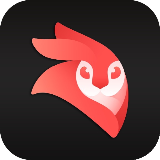 VideoLeap Editor ADVICE