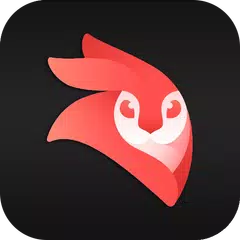 VideoLeap Editor ADVICE