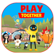 Play Together Tips
