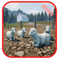 Guide for ranch simulator 2022