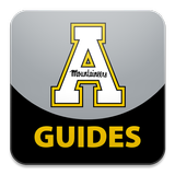 AppState icon