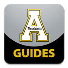 AppState icon