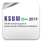 KSUM Open 2019 biểu tượng