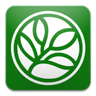 EVC icon