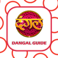 Dangal TV Live Serials Guide