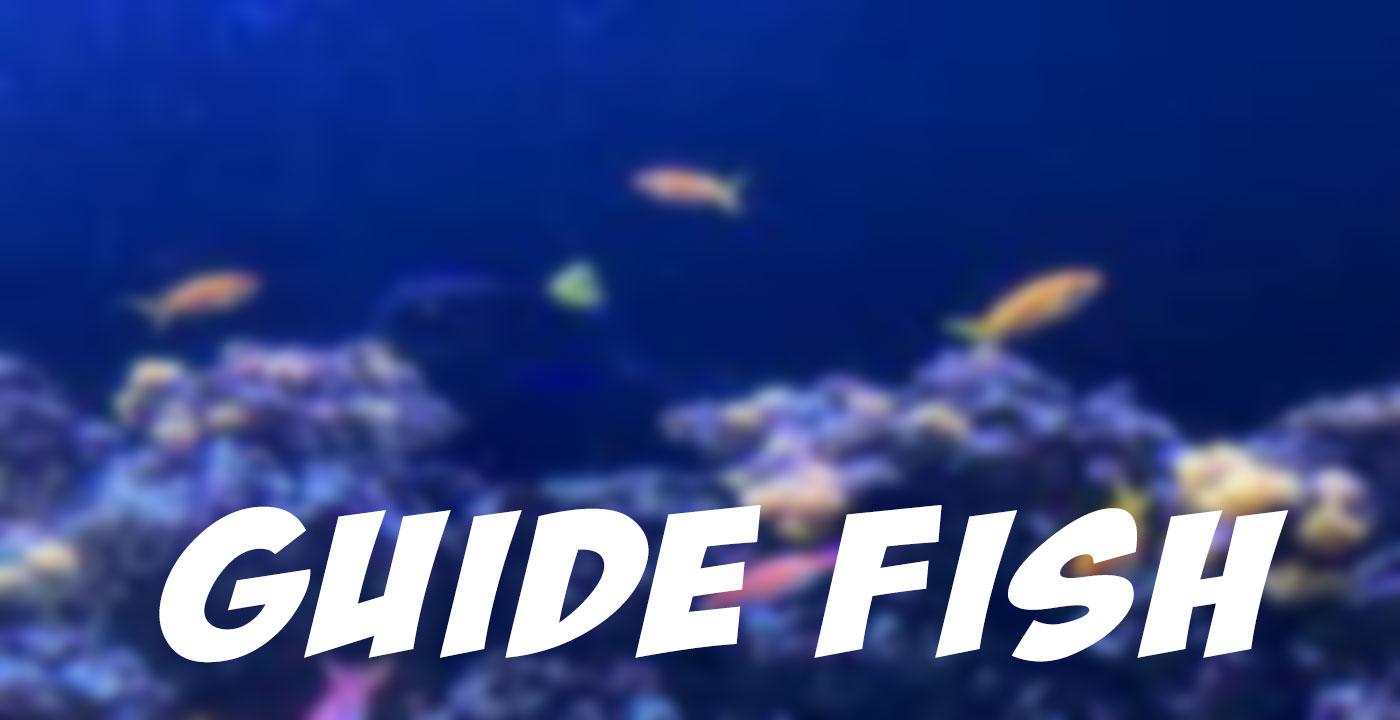Guide For Fish Android App 2
