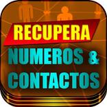 Recuperar Numeros Contactos Antiguos Borrados Guia