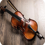 violon Pro 2019