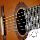 Guitar Ringtones آئیکن