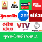 Gujarati News Plus - Live News icône