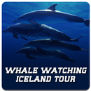 Whale Watching Iceland Tour APK