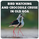 Bird Watching and Crocodile Cruise in Old Goa APK