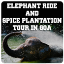 Spice Plantation Tour with Elephant Ride Goa APK