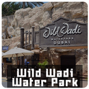 Wild Wadi Water Park APK