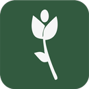 Gulab.pk APK