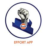 Gulf Effort