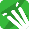 GULLY CRIX Cricket Scorer App