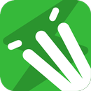 GULLY CRIX Cricket Scorer App APK