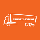 Brivio & Viganò X icône