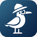 Chicken Road APK