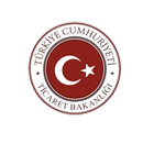 Yolcular İçin Gümrük Rehberi APK