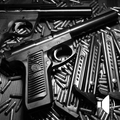 Guns - Shotgun Sound
