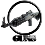 銃：ショットガン