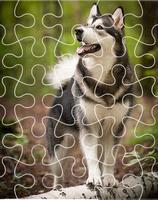 Husky Dog Talky Jigsaw Puzzle الملصق