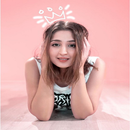 Dhvani Bhanushali Song Offline APK