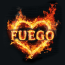 Fuego Paderborn APK
