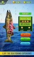 3D Monster Fish Game - Real Fishing Simulator 2019 Affiche