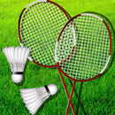 Ultimate Passion Badminton Legend 3D APK