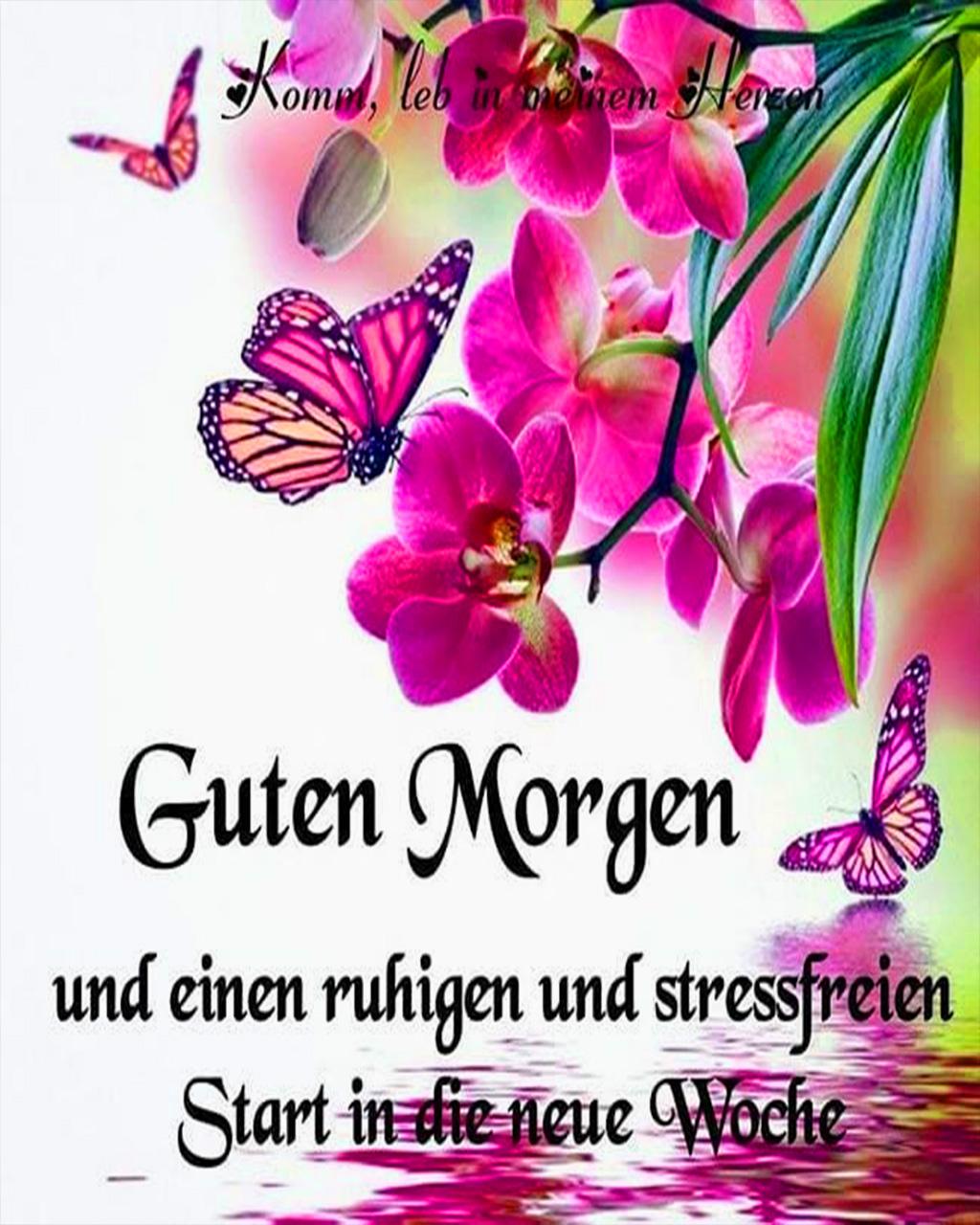 Guten Morgen Bilder Und Spruche Fur Whatsapp 2021 Fur Android Apk Herunterladen