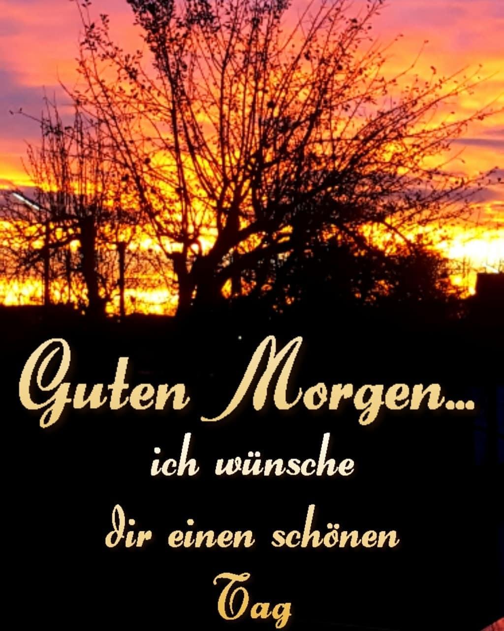 Morgen guten gruß schönen einen Guten Morgen