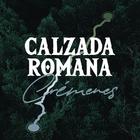 Calzada Romana. Crémenes icon