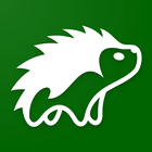 Hedgehog icon