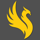 GVN Advisor APK