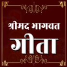 Bhagavad Gita in Hindi icône